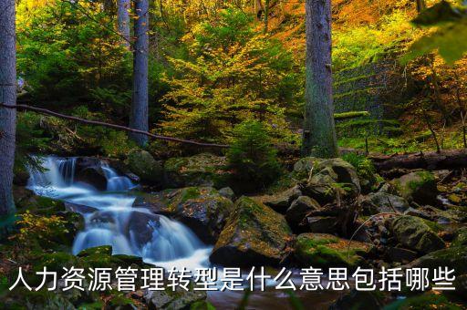 人力資源管理數(shù)字化轉(zhuǎn)型，人力資源管理轉(zhuǎn)型是什么意思包括哪些