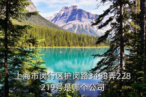 上海市閔行區(qū)護閔路3458弄228219號是哪個公司