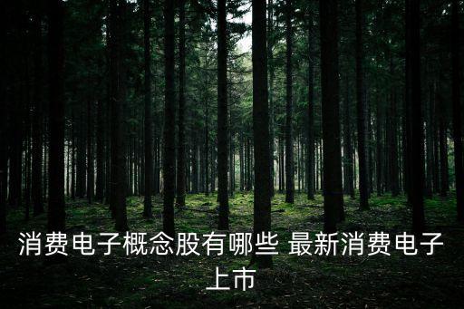 消費(fèi)電子概念股有哪些 最新消費(fèi)電子上市