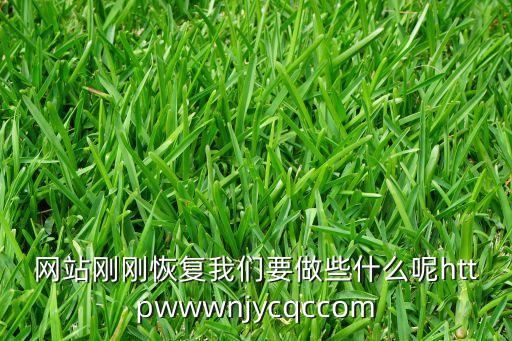 網(wǎng)站剛剛恢復(fù)我們要做些什么呢httpwwwnjycqccom