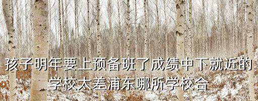 孩子明年要上預(yù)備班了成績中下就近的學(xué)校太差浦東哪所學(xué)校合