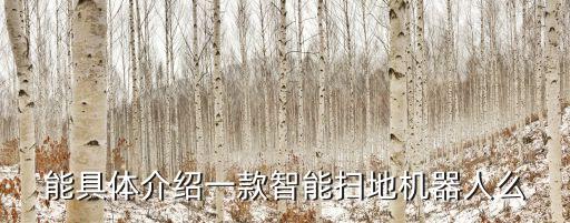 能具體介紹一款智能掃地機(jī)器人么