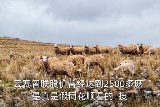 云賽智聯(lián)股價曾經(jīng)達到2500多麼 是真是假同花順看的  搜