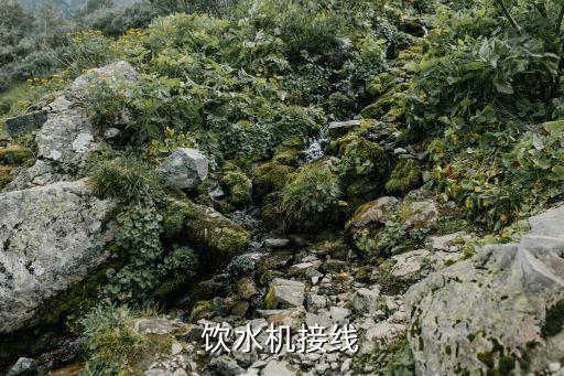 飲水機(jī)接線