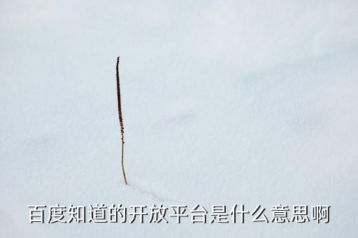 百度知道的開放平臺是什么意思啊