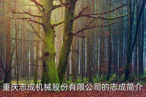重慶志成機(jī)械股份有限公司的志成簡介