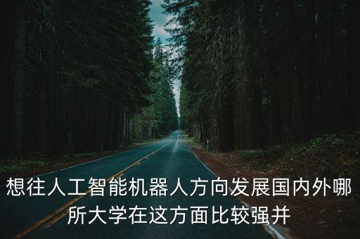 想往人工智能機(jī)器人方向發(fā)展國內(nèi)外哪所大學(xué)在這方面比較強(qiáng)并