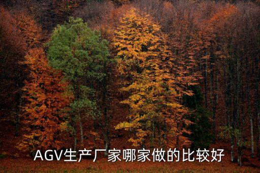 agv生產(chǎn)廠家排名，我們車間要想要購置AGV國內(nèi)AGV廠家哪幾家比較好