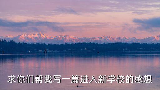 求你們幫我寫一篇進入新學校的感想