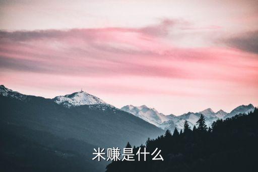 米賺是什么