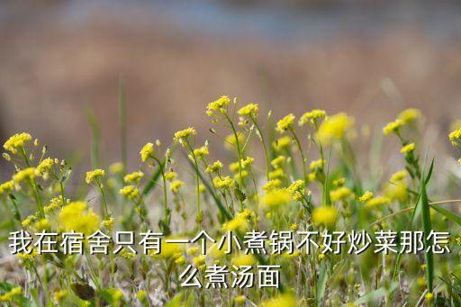 我在宿舍只有一個(gè)小煮鍋不好炒菜那怎么煮湯面