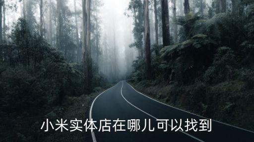 小米實(shí)體店在哪兒可以找到