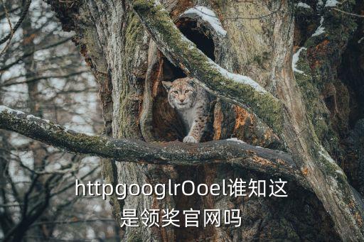 httpgooglrOoel誰知這是領(lǐng)獎官網(wǎng)嗎