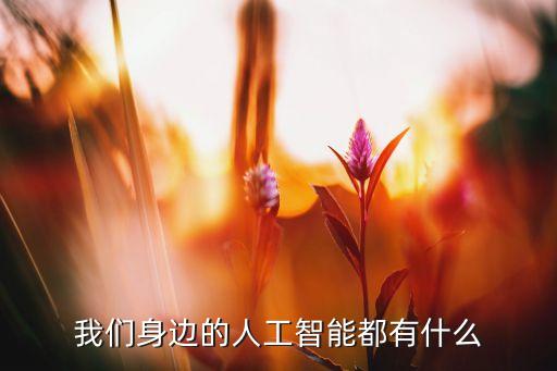 生活中的人工智能產(chǎn)品都有什么，哪些是人工智能用品