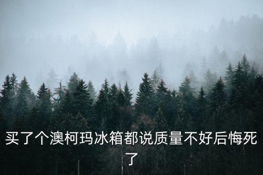 買了個澳柯瑪冰箱都說質(zhì)量不好后悔死了