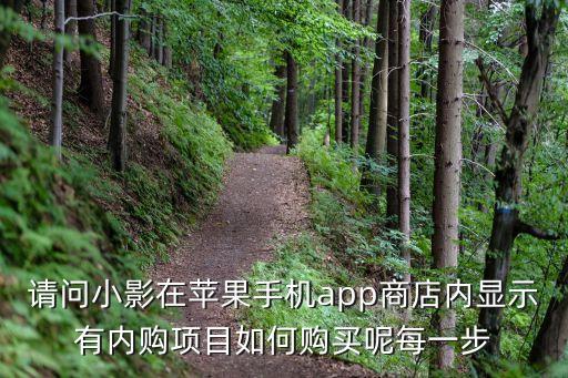 請問小影在蘋果手機app商店內(nèi)顯示有內(nèi)購項目如何購買呢每一步