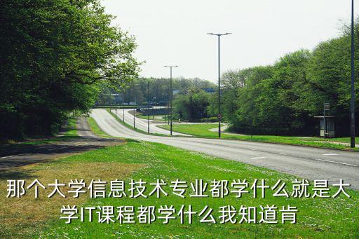 信息技術(shù)專業(yè)學(xué)什么，那個大學(xué)信息技術(shù)專業(yè)都學(xué)什么就是大學(xué)IT課程都學(xué)什么我知道肯