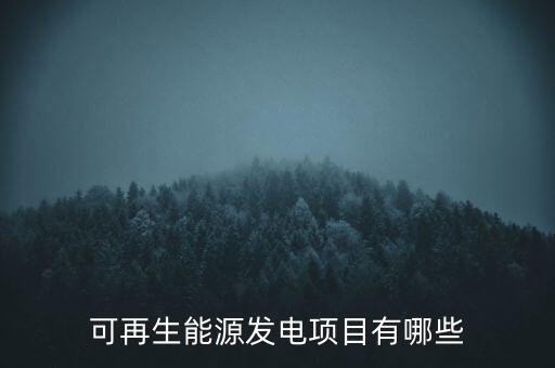 可再生能源發(fā)電項(xiàng)目有哪些