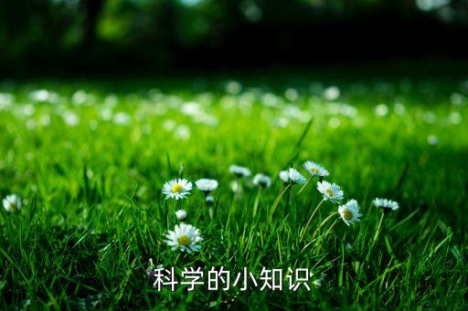 科學(xué)的小知識(shí)