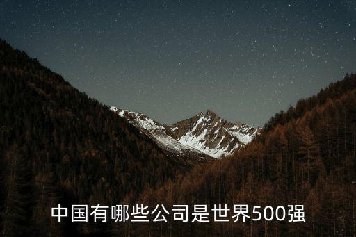 中國有哪些公司是世界500強