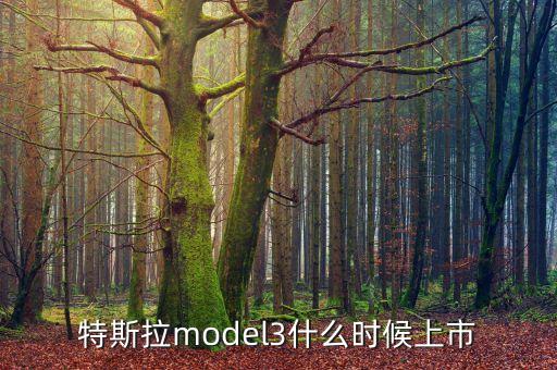 特斯拉自動駕駛發(fā)布時間，特斯拉model3什么時候上市