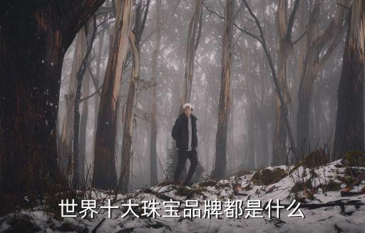 世界十大珠寶品牌都是什么