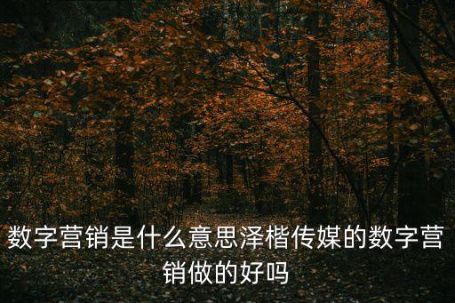 數(shù)字營銷是什么意思澤楷傳媒的數(shù)字營銷做的好嗎