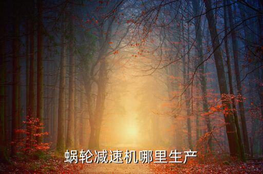 減速機(jī)生產(chǎn)線，請(qǐng)行業(yè)人推薦一下三項(xiàng)異步電機(jī)擺線減速機(jī)生產(chǎn)廠家