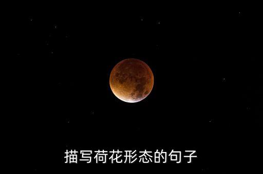 科技賦能的短句，delphi70 賦值語句