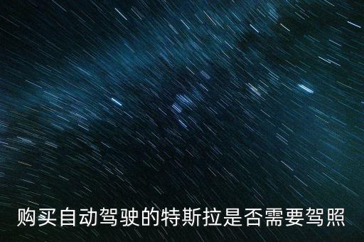 購買自動駕駛的特斯拉是否需要駕照
