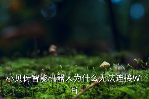 小貝伢智能機(jī)器人為什么無法連接WiFi