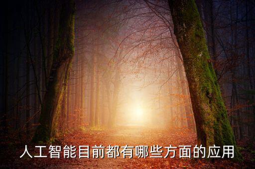 人工智能目前都有哪些方面的應(yīng)用