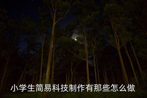 小學(xué)生簡易科技制作有那些怎么做
