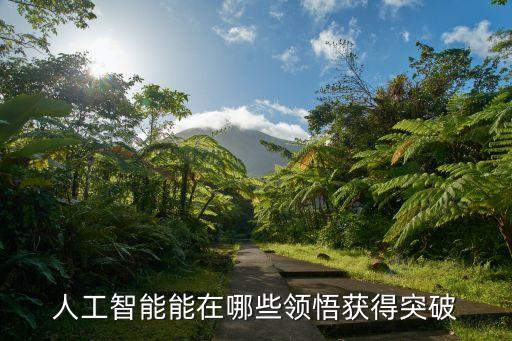 人工智能能在哪些領(lǐng)悟獲得突破
