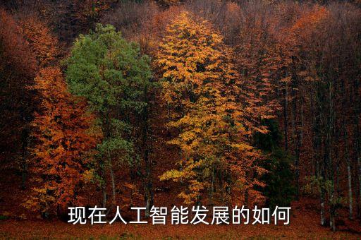 現(xiàn)在人工智能發(fā)展的如何