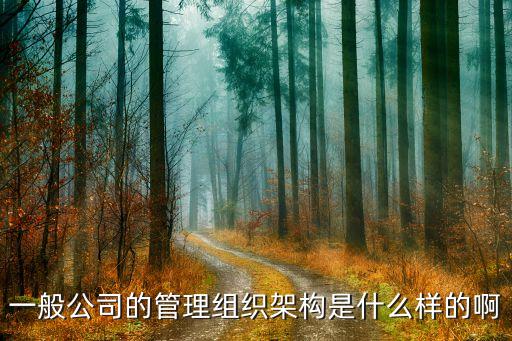 一般公司的管理組織架構(gòu)是什么樣的啊