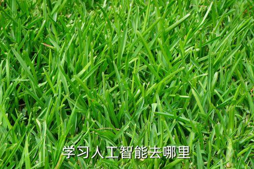 人工智能在哪里學，人工智能軟件怎么去學習呢