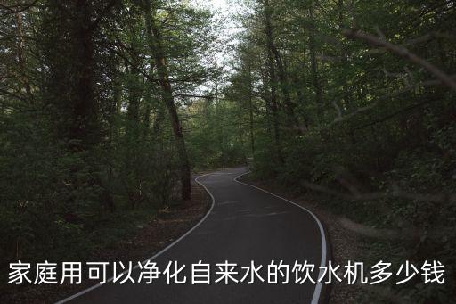 家庭用可以凈化自來(lái)水的飲水機(jī)多少錢
