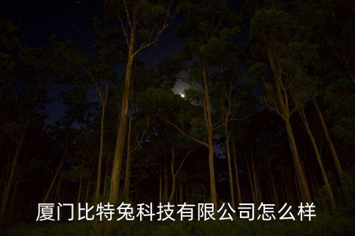 廈門比特兔科技有限公司怎么樣