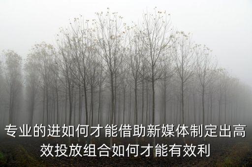 專(zhuān)業(yè)的進(jìn)如何才能借助新媒體制定出高效投放組合如何才能有效利
