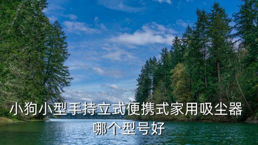 手握式小型吸塵器，小狗小型手持立式便攜式家用吸塵器 哪個型號好