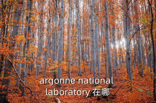 argonne national laboratory 在哪