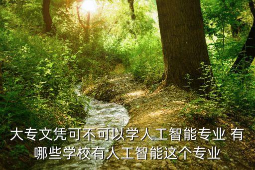 大專文憑可不可以學(xué)人工智能專業(yè) 有哪些學(xué)校有人工智能這個專業(yè)