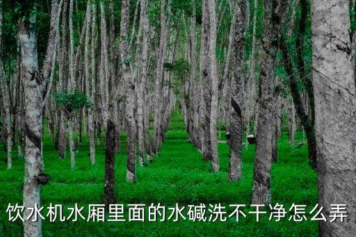 直飲機(jī)怎么清理水堿，飲水機(jī)水廂里面的水堿洗不干凈怎么弄