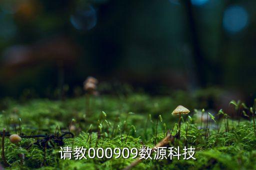 請教000909數(shù)源科技