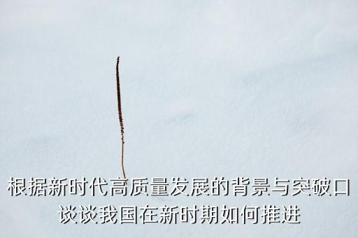 根據(jù)新時(shí)代高質(zhì)量發(fā)展的背景與突破口談?wù)勎覈谛聲r(shí)期如何推進(jìn)