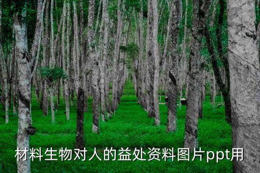 老年智能藥盒ppt，在對啊課堂app離下載的課件如何打印出來