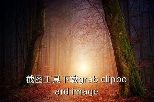 截圖工具下載grab clipboard image