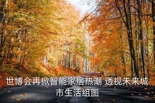 世博會再掀智能家居熱潮 透視未來城市生活組圖