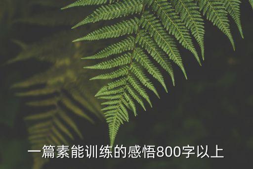 一篇素能訓(xùn)練的感悟800字以上